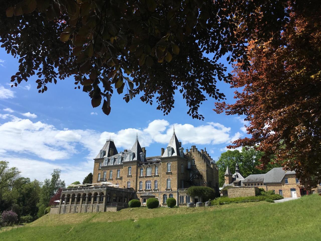 Domaine De Ronchinne - Insolites Maillen Exterior foto
