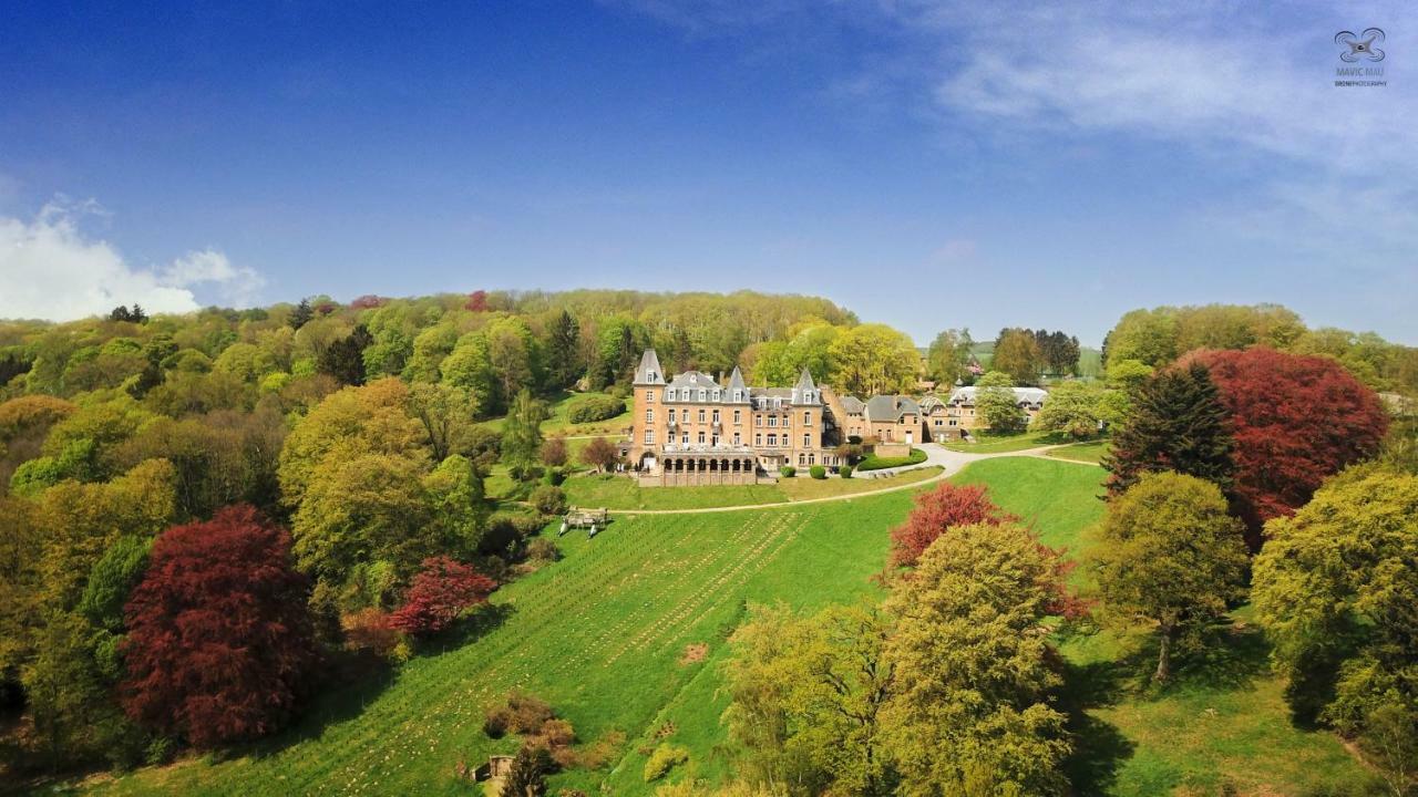 Domaine De Ronchinne - Insolites Maillen Exterior foto